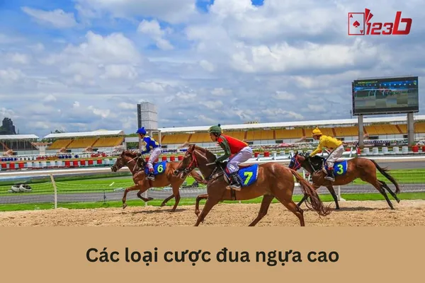 123b Cược Đua Ngựa Online Tỷ Lệ Cược Đua Ngựa Cao 2 Cược đua ngựa cao