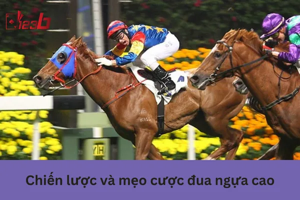 123b Cược Đua Ngựa Online Tỷ Lệ Cược Đua Ngựa Cao 3 Cược đua ngựa cao